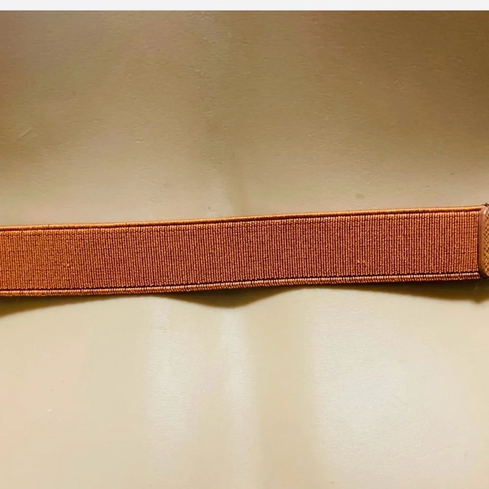 EXPRESS SKINNY BELT GOLD  TURN-LUCK ELASTIC IN THE BACK BROWN M/L TINY SCRATCH
